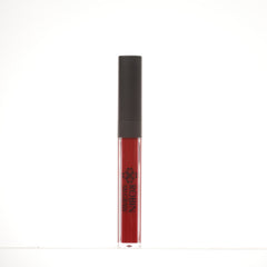 Lip Gloss: Lustrous Lip Luminescence