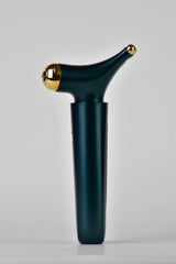 Robin McGraw's EMS Device